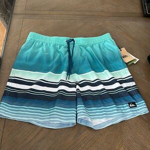 Quiksilver Men's Aqua and Navy Striped Volleyball Shorts